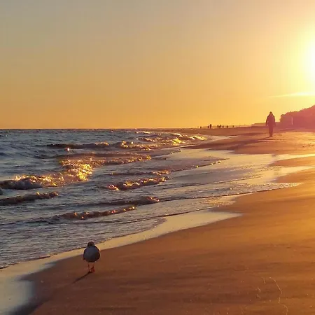 2 Bedroom Amazing In Darlowo * Wicie (West Pomeranian)